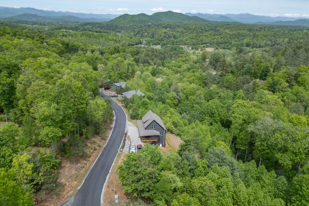 455 Point Overlook Trail Murphy, NC 28906 - Photo 45 of 56