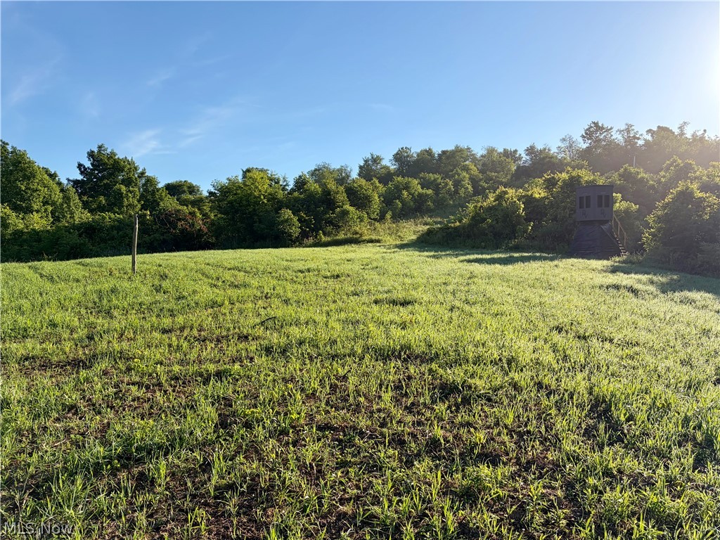 Sykes Ridge Road Clarington, OH 43915 - Photo 24 of 42
