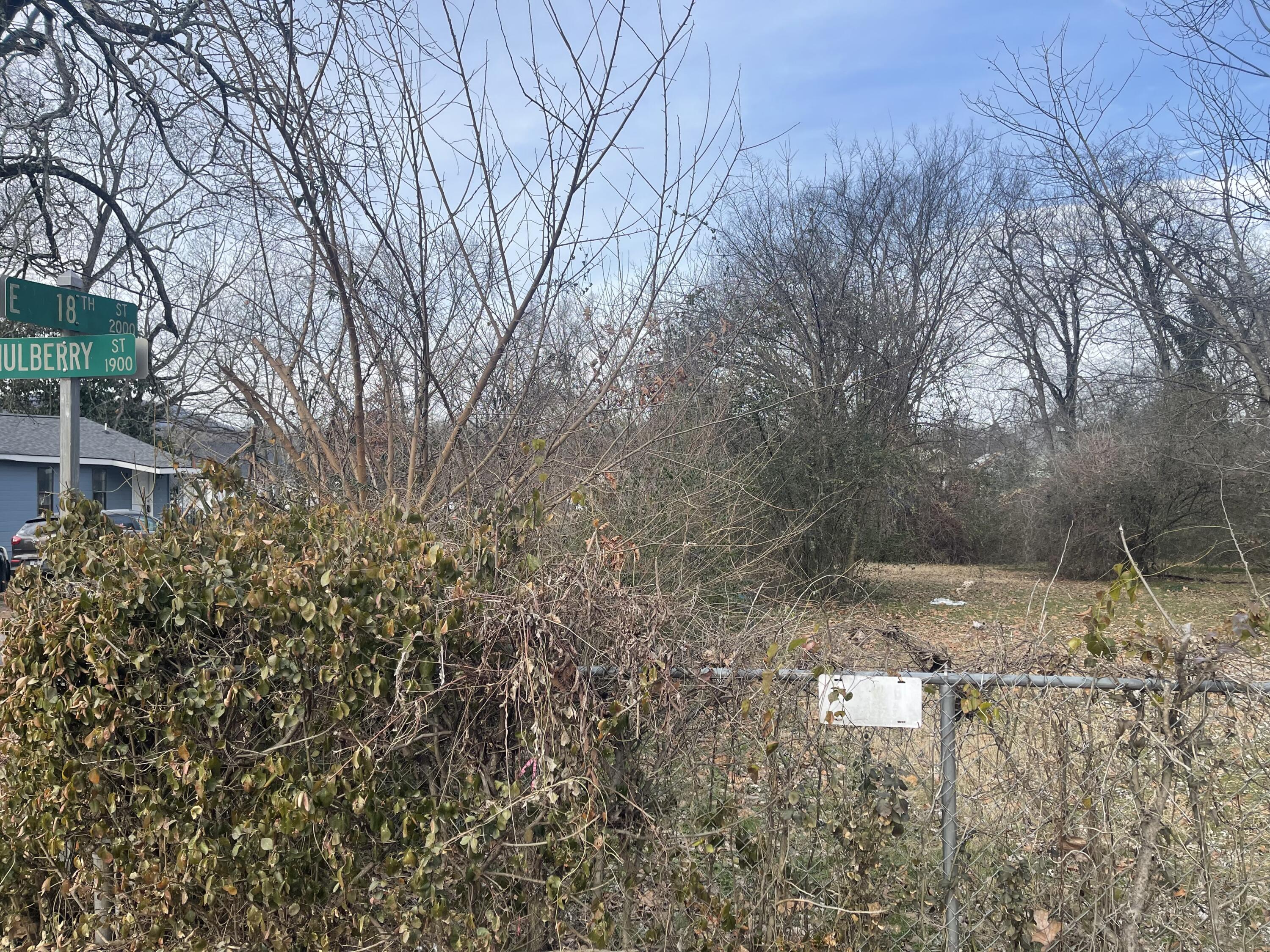 0 Mulberry Street Chattanooga, TN 37404 - Photo 2 of 2 IMG_3866