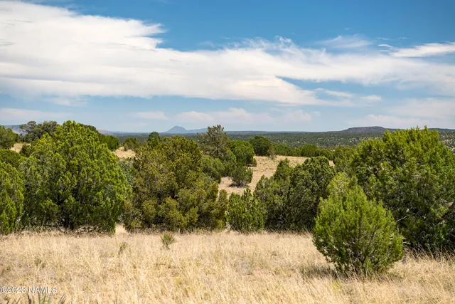 $22,000 | D Wooden Ear Ranch Road, Seligman, AZ 86337