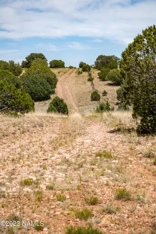 $22,000 | D Wooden Ear Ranch Road, Seligman, AZ 86337