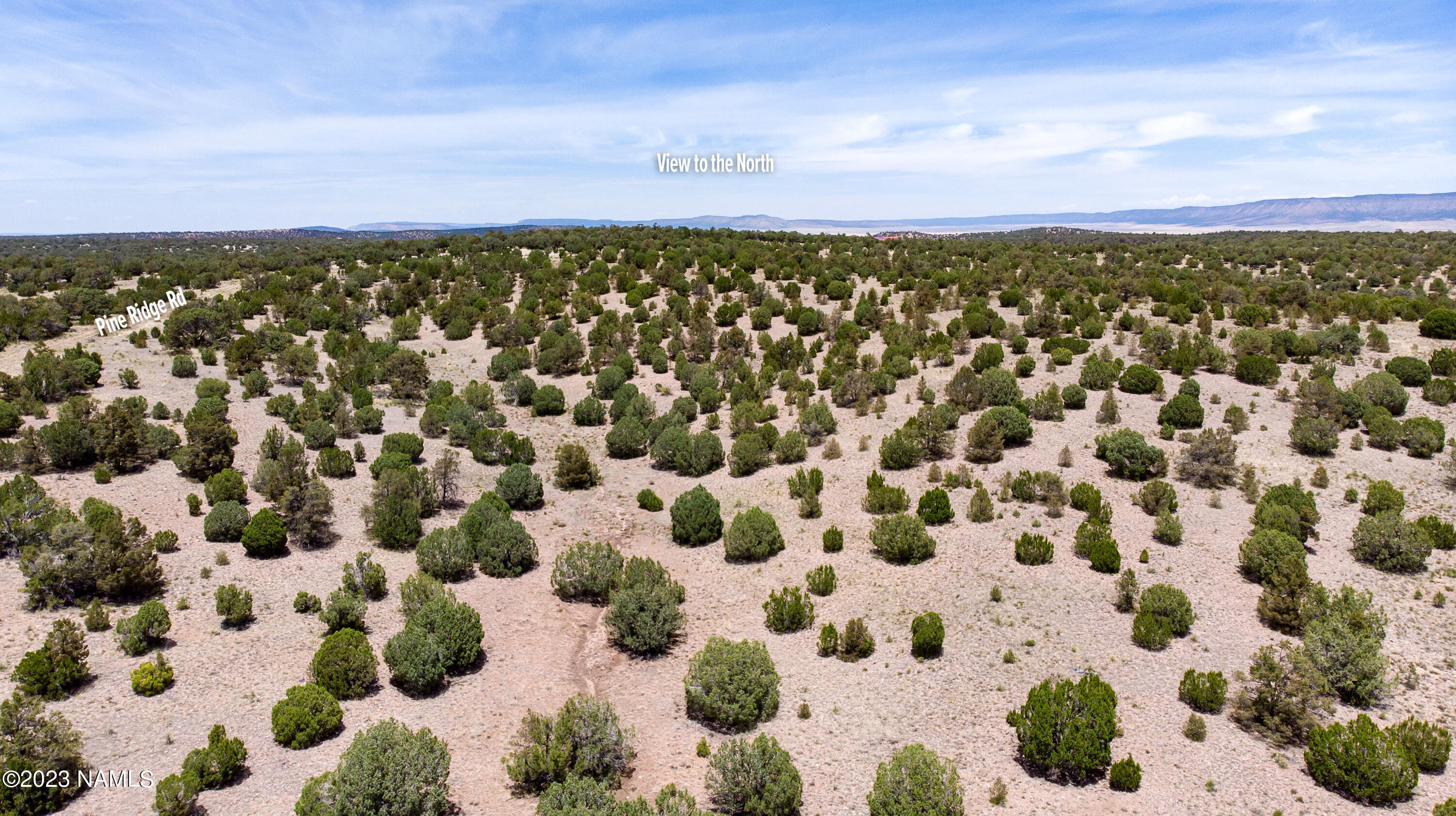 D Wooden Ear Ranch Road Seligman, AZ 86337 - Photo 14 of 21 DJI_0089