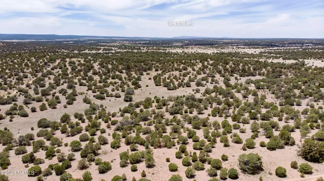 $22,000 | D Wooden Ear Ranch Road, Seligman, AZ 86337