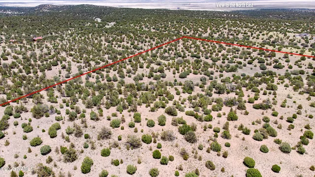 $22,000 | D Wooden Ear Ranch Road, Seligman, AZ 86337