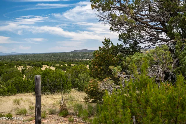 $22,000 | D Wooden Ear Ranch Road, Seligman, AZ 86337