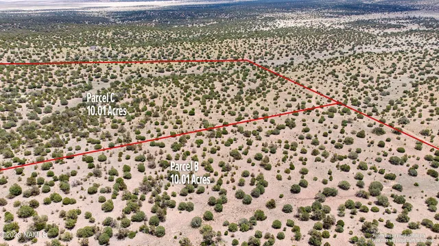 $22,000 | D Wooden Ear Ranch Road, Seligman, AZ 86337
