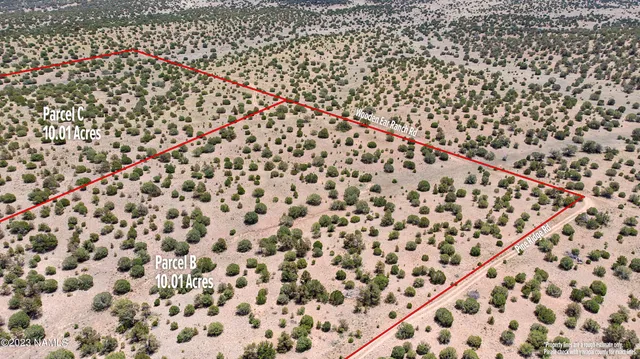 $22,000 | D Wooden Ear Ranch Road, Seligman, AZ 86337