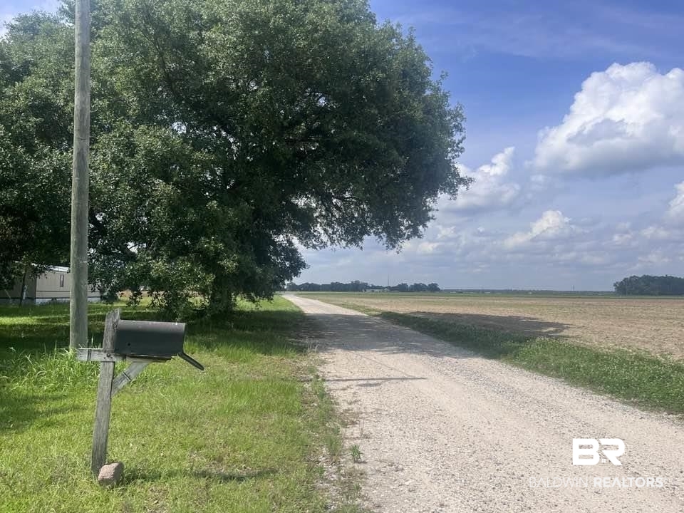 0 Gus Broughton Road Grand Bay, AL 36541 - Photo 4 of 7 View of dirt / gravel road with a view of rural / pastoral area