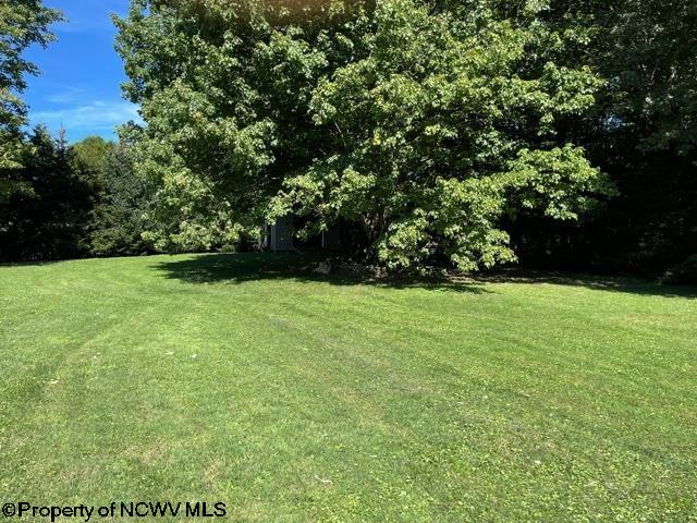 54 South Grove Avenue Reedsville, WV 26547 - Photo 26 of 32 Gallery Image 26
