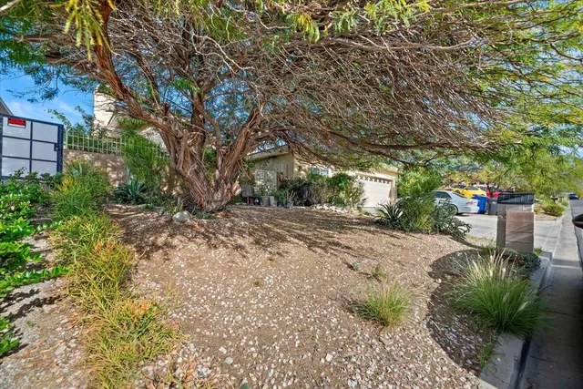 a view of backyard with outdoor and green space