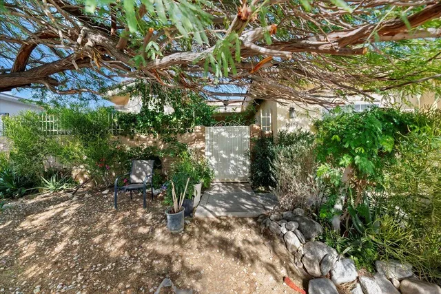 a view of a tree with a tree