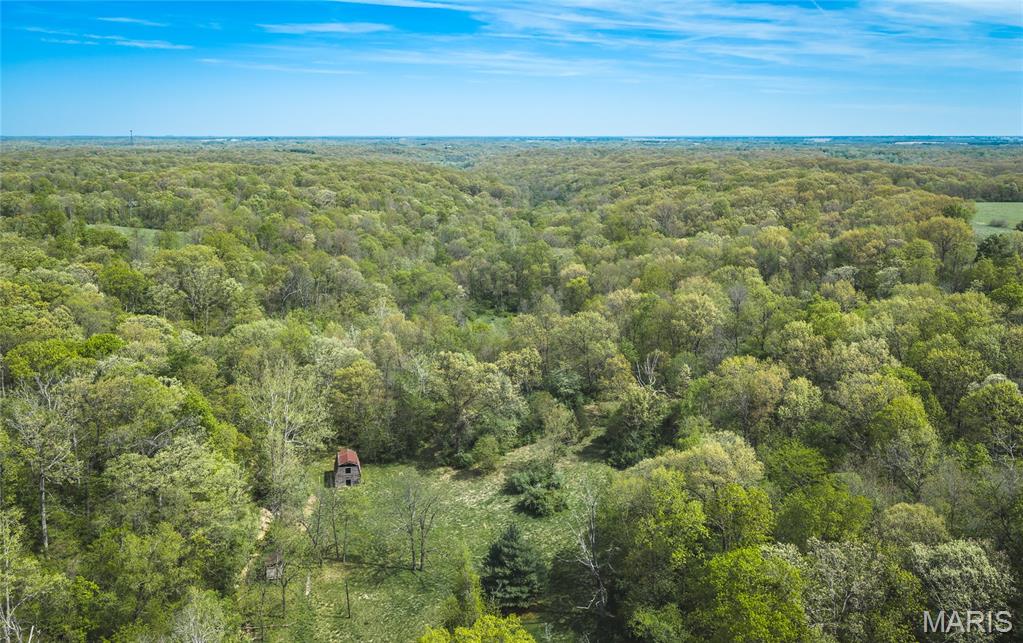 17816 Powerline Road Grafton, IL 62037 - Photo 4 of 50
