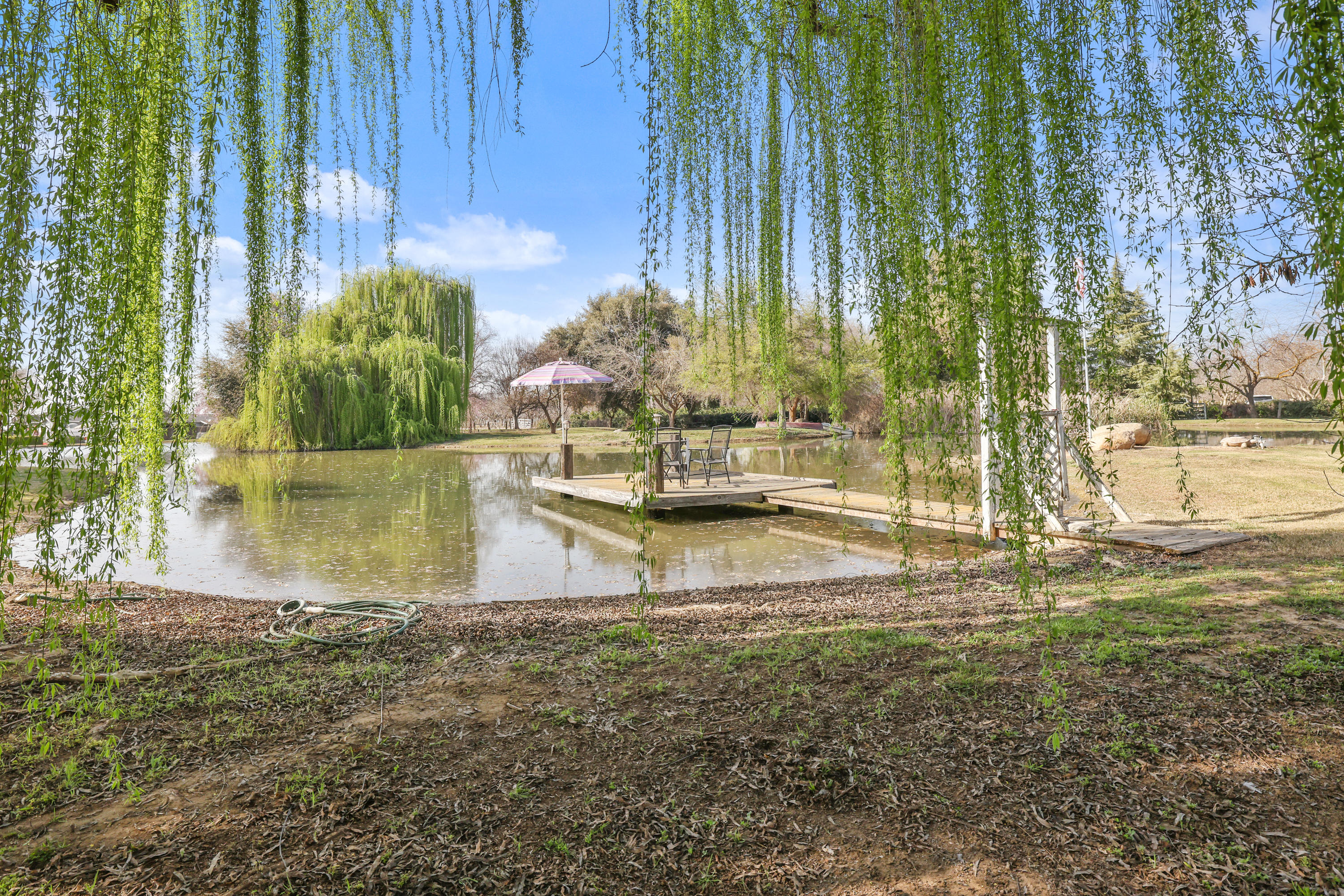 1310 South Anderson Road Exeter, CA 93221 - Photo 91 of 124 D50A7846