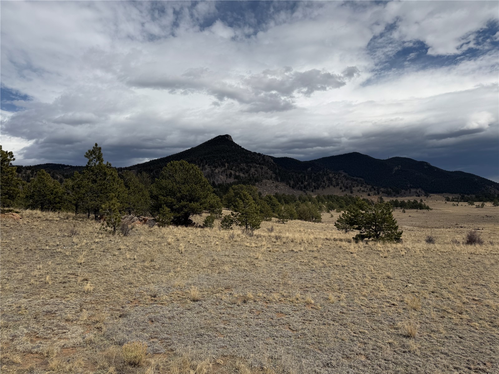 74 Craig Lane Lake George, CO 80827 - Photo 1 of 21