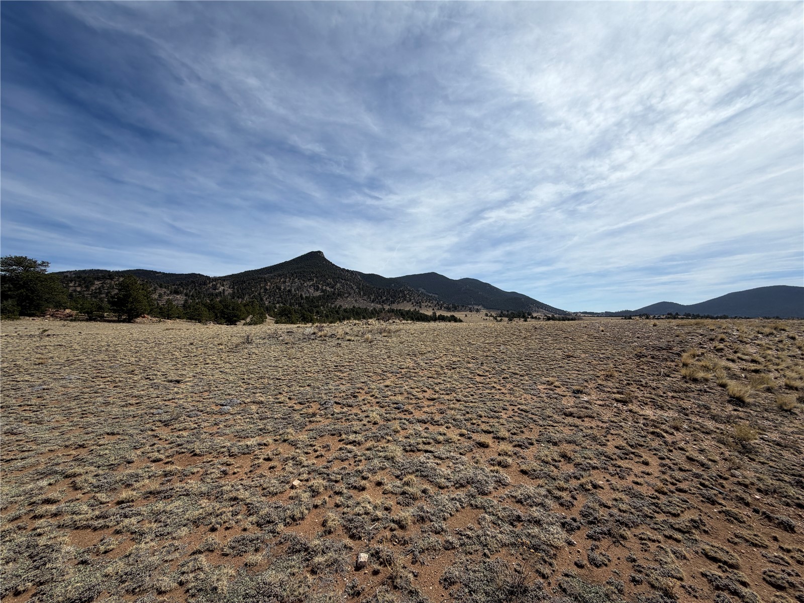 74 Craig Lane Lake George, CO 80827 - Photo 1 of 16 a view of lake and mountain