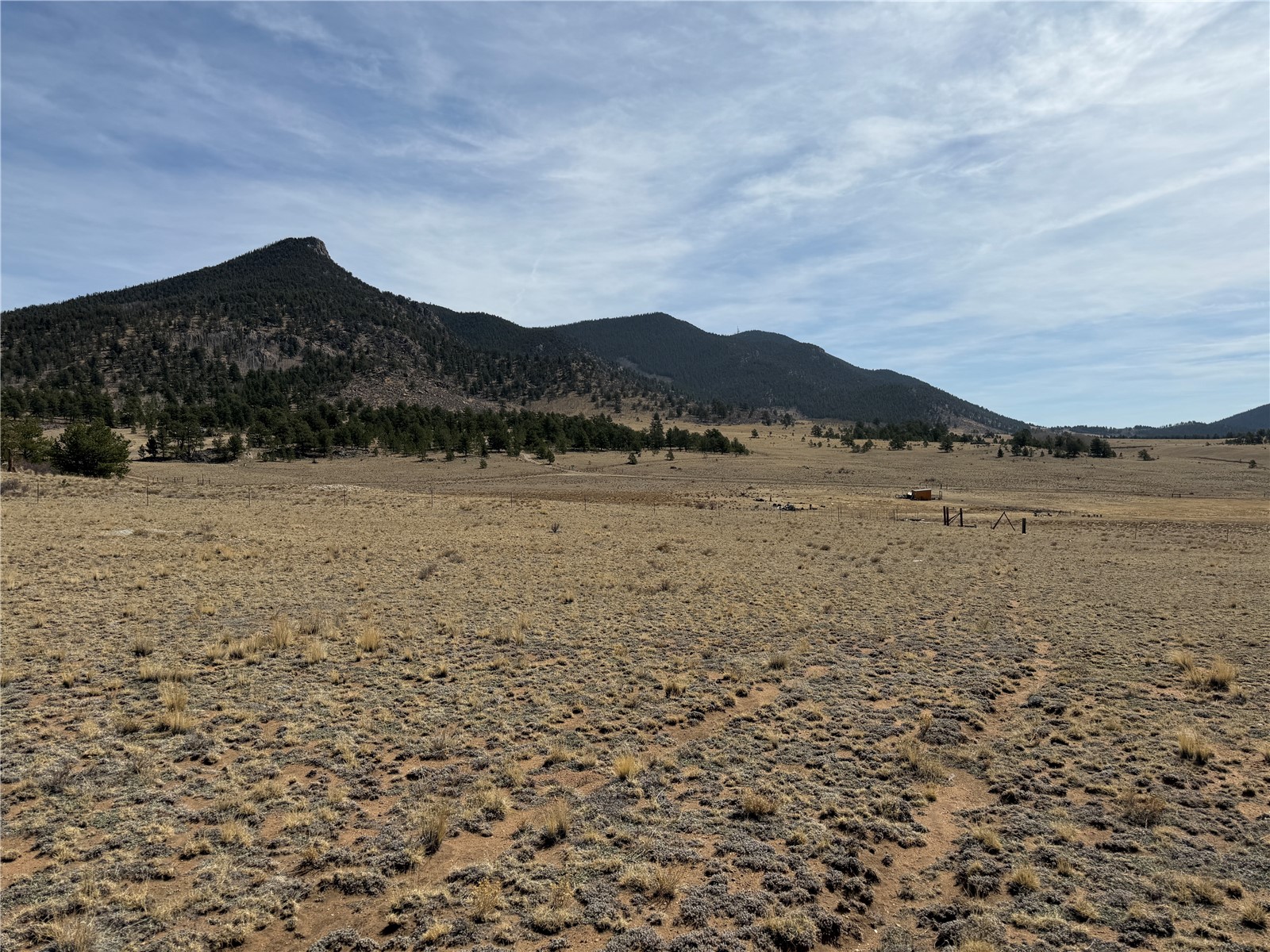 74 Craig Lane Lake George, CO 80827 - Photo 11 of 16 a view of lake