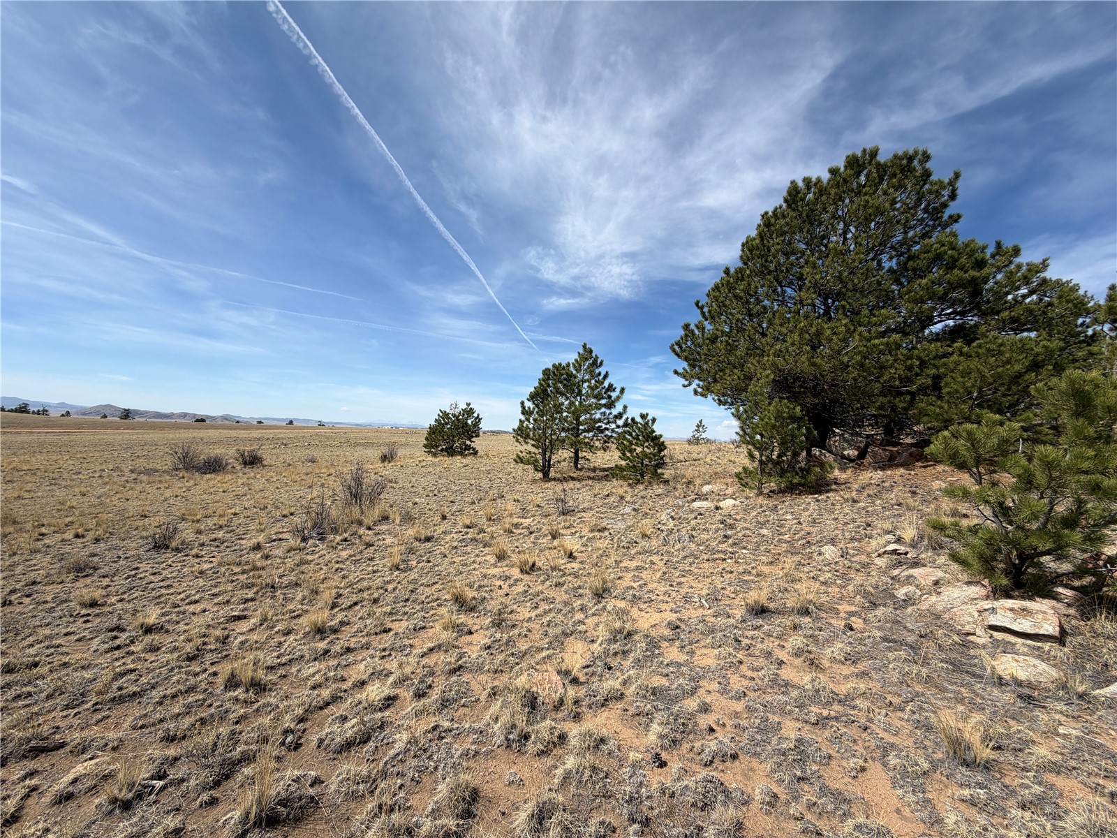 74 Craig Lane Lake George, CO 80827 - Photo 14 of 16 a view of a dry yard with wooden fence