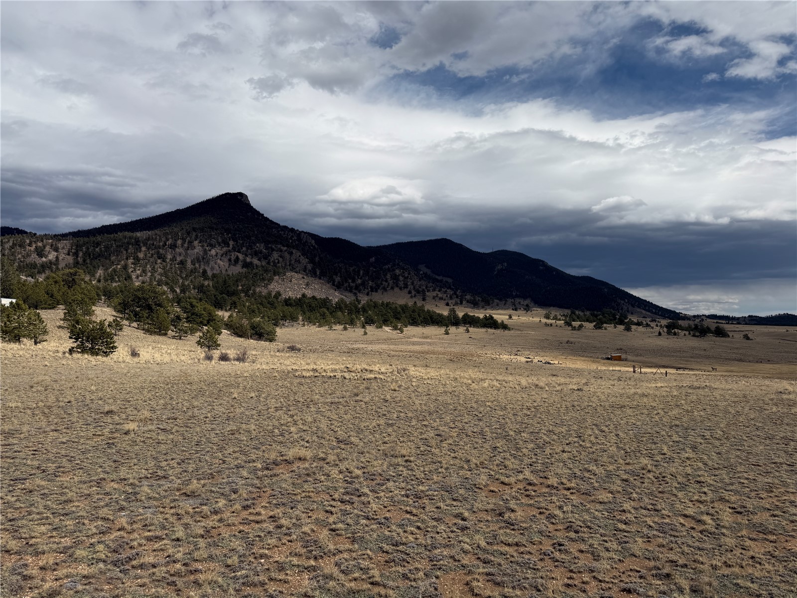74 Craig Lane Lake George, CO 80827 - Photo 14 of 21