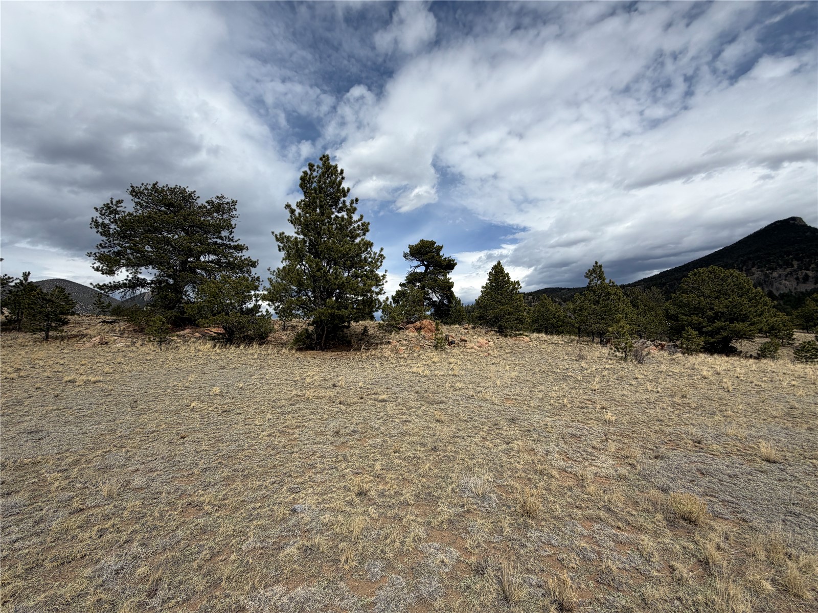 74 Craig Lane Lake George, CO 80827 - Photo 2 of 21