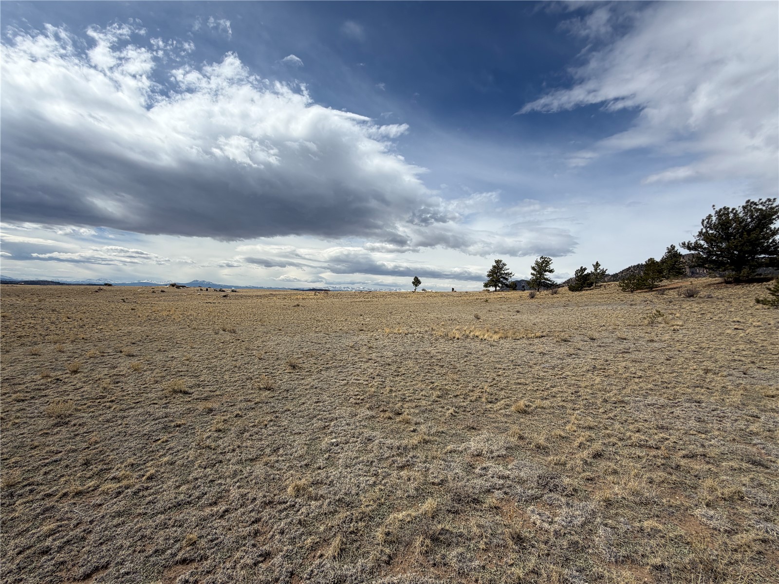 74 Craig Lane Lake George, CO 80827 - Photo 4 of 21