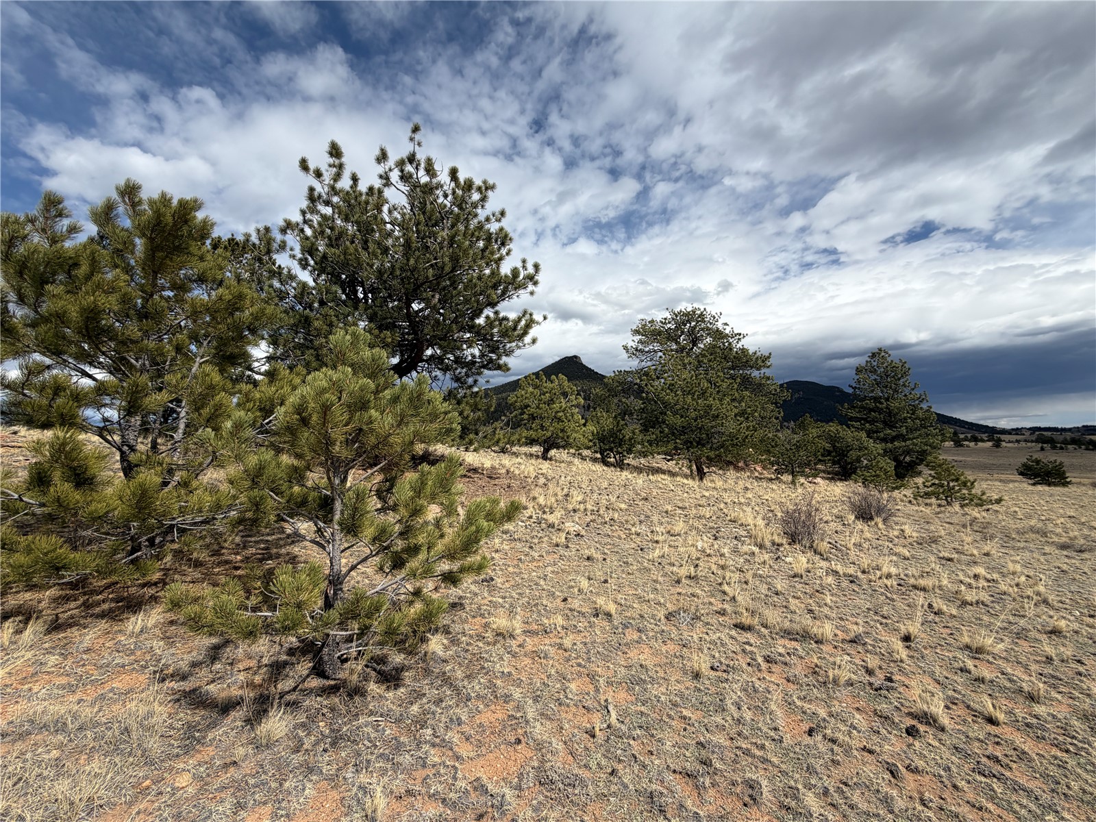 74 Craig Lane Lake George, CO 80827 - Photo 5 of 21