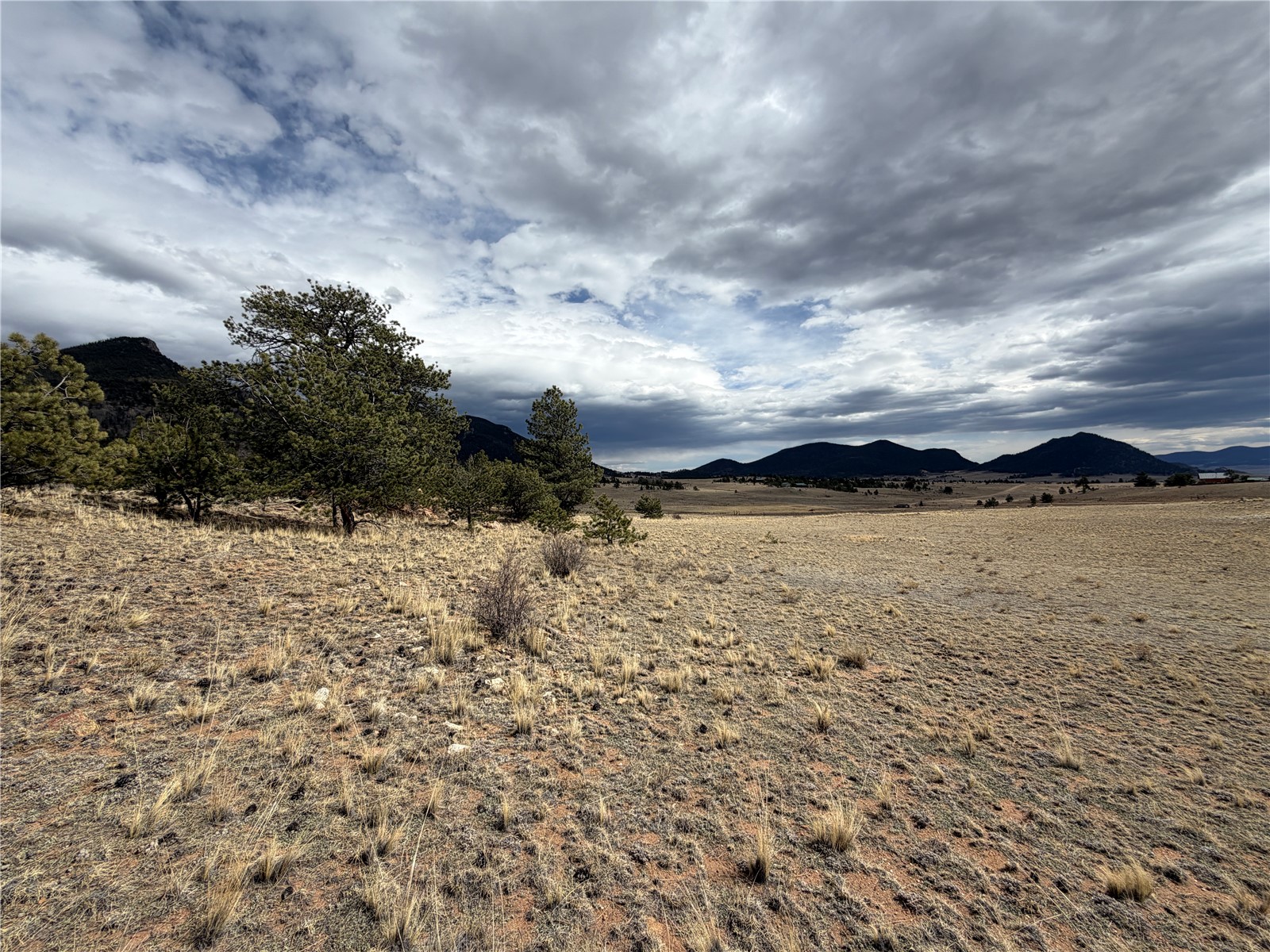 74 Craig Lane Lake George, CO 80827 - Photo 6 of 21