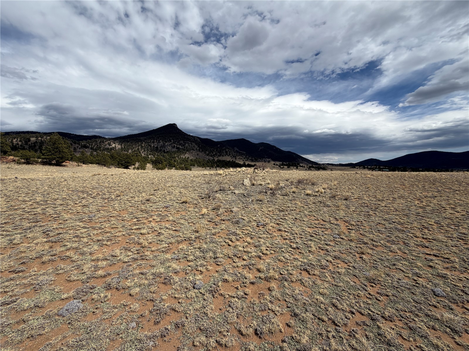 74 Craig Lane Lake George, CO 80827 - Photo 8 of 21