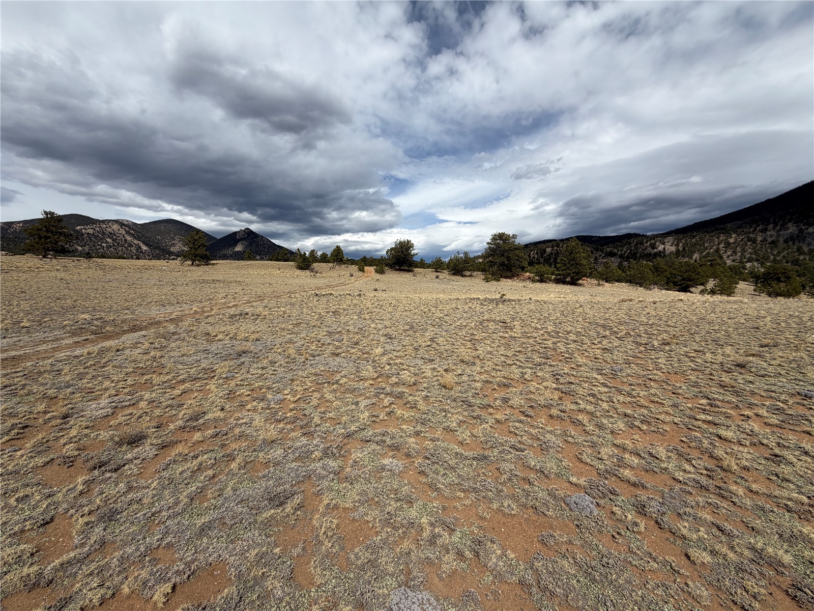 74 Craig Lane Lake George, CO 80827 - Photo 10 of 21