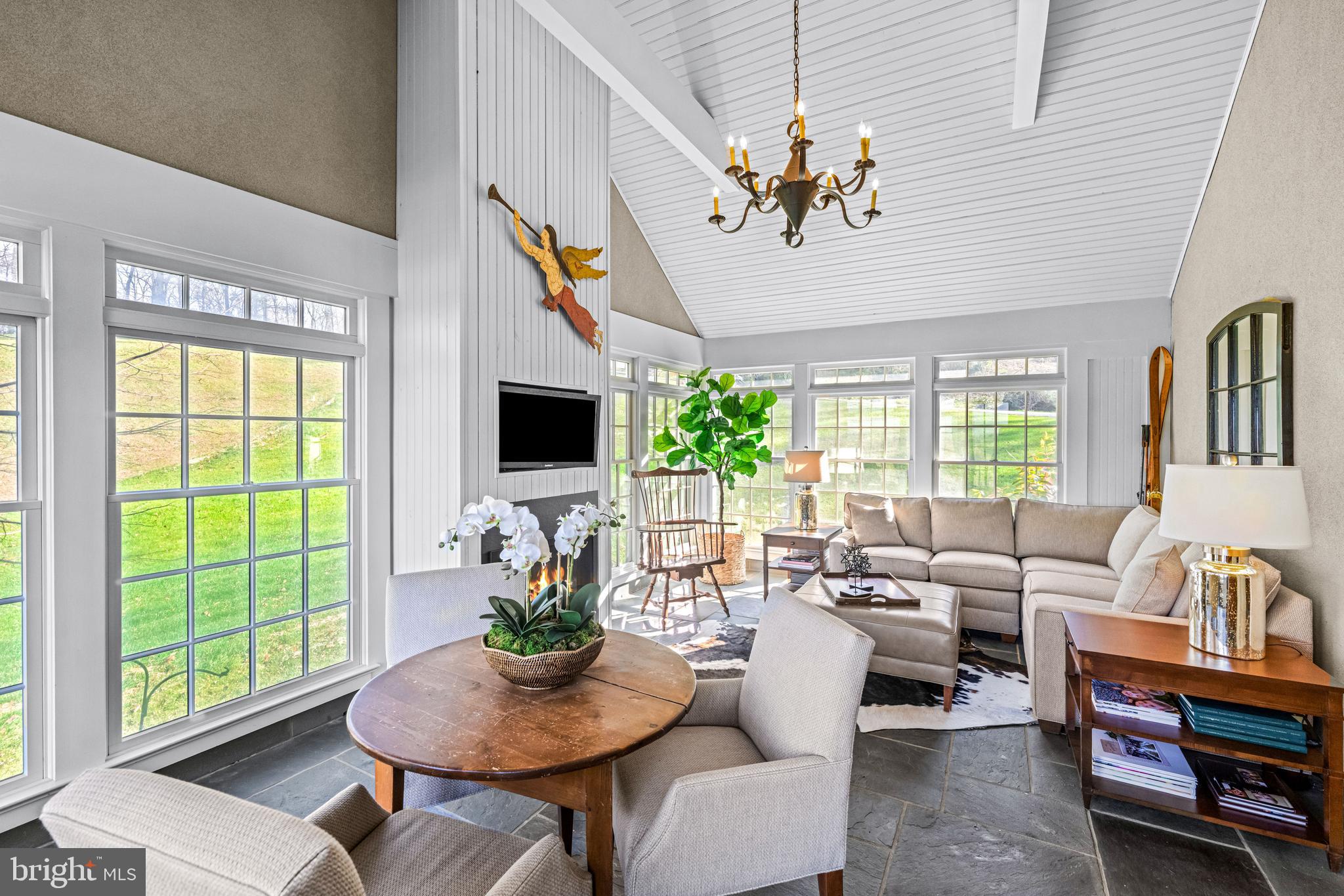 6058 Buena Vista Road Gap, PA 17527 - Photo 45 of 118 a living room with fireplace furniture and a potted plant