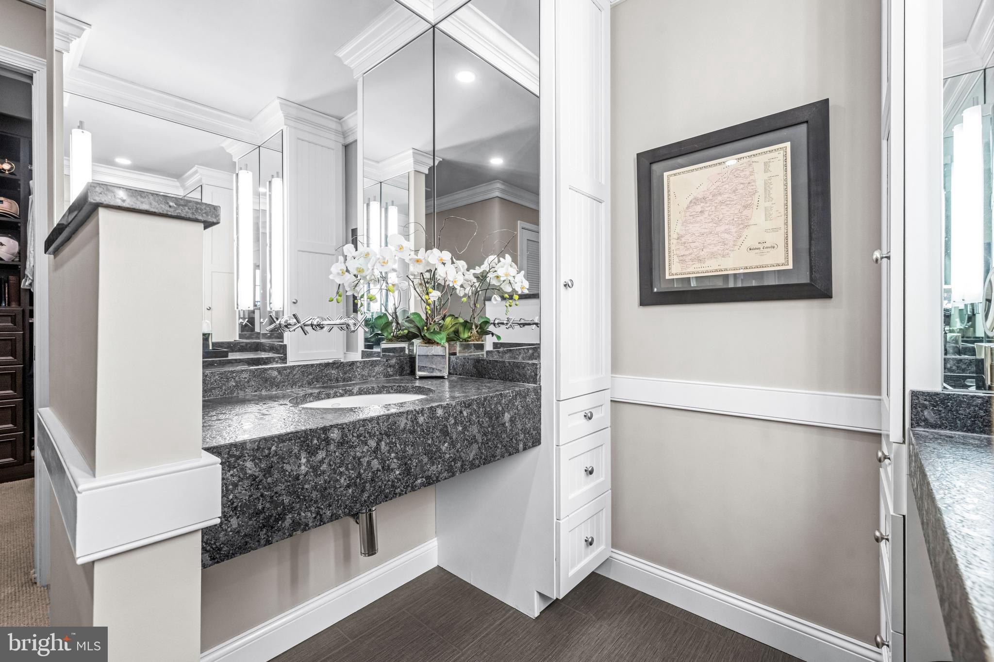 6058 Buena Vista Road Gap, PA 17527 - Photo 70 of 118 a bathroom with a granite countertop sink a mirror and a shower
