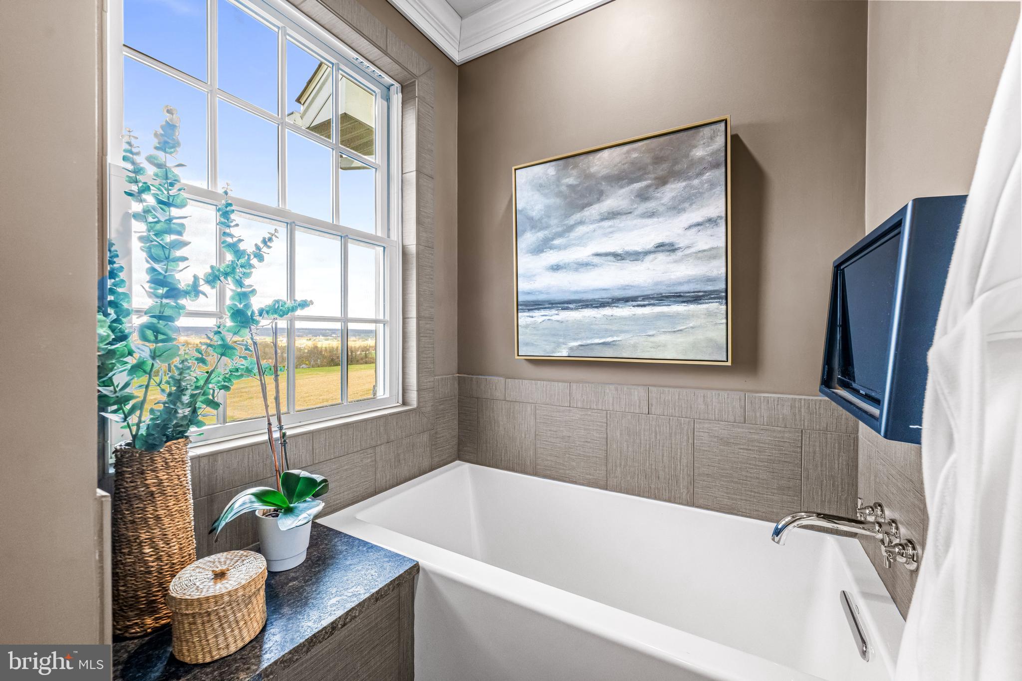 6058 Buena Vista Road Gap, PA 17527 - Photo 73 of 118 a bath tub sitting next to a window