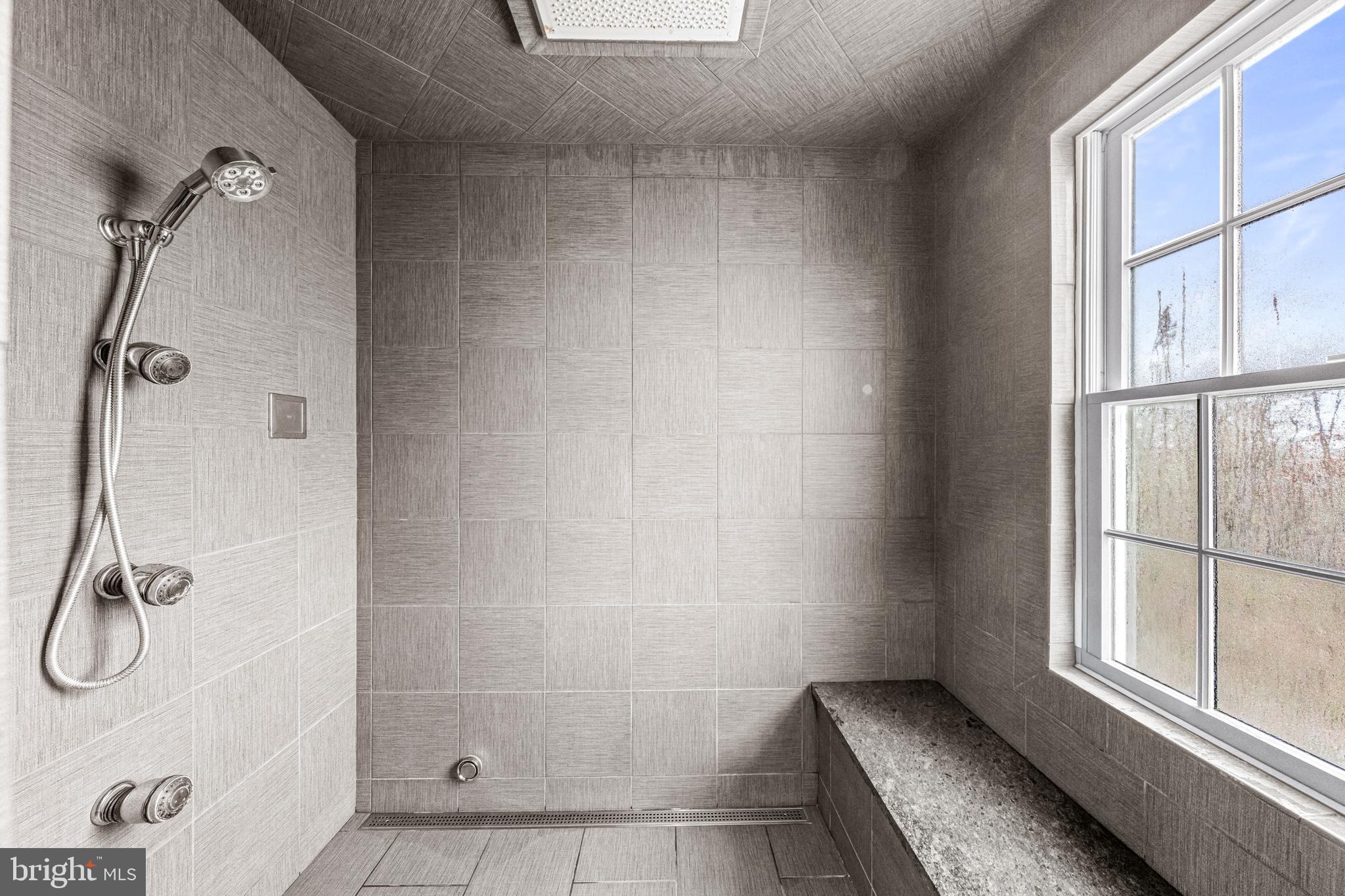 6058 Buena Vista Road Gap, PA 17527 - Photo 74 of 118 steam shower