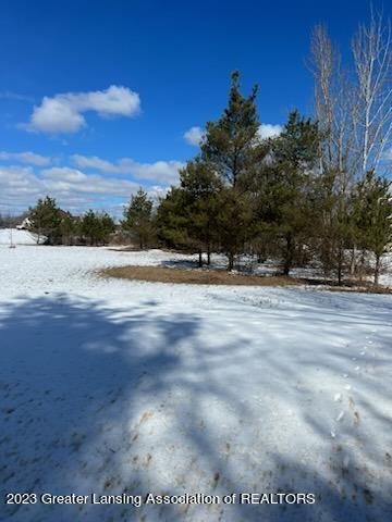 1662 West Tuttle Road Ionia, MI 48846 - Photo 5 of 6 1713149404743919719