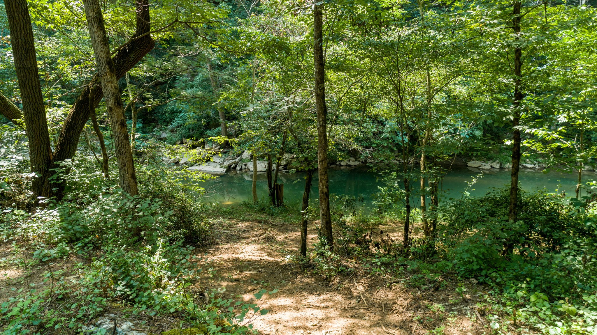 0 Jones Mill Road Smithville, TN 37166 - Photo 1 of 40 Gallery Image 1