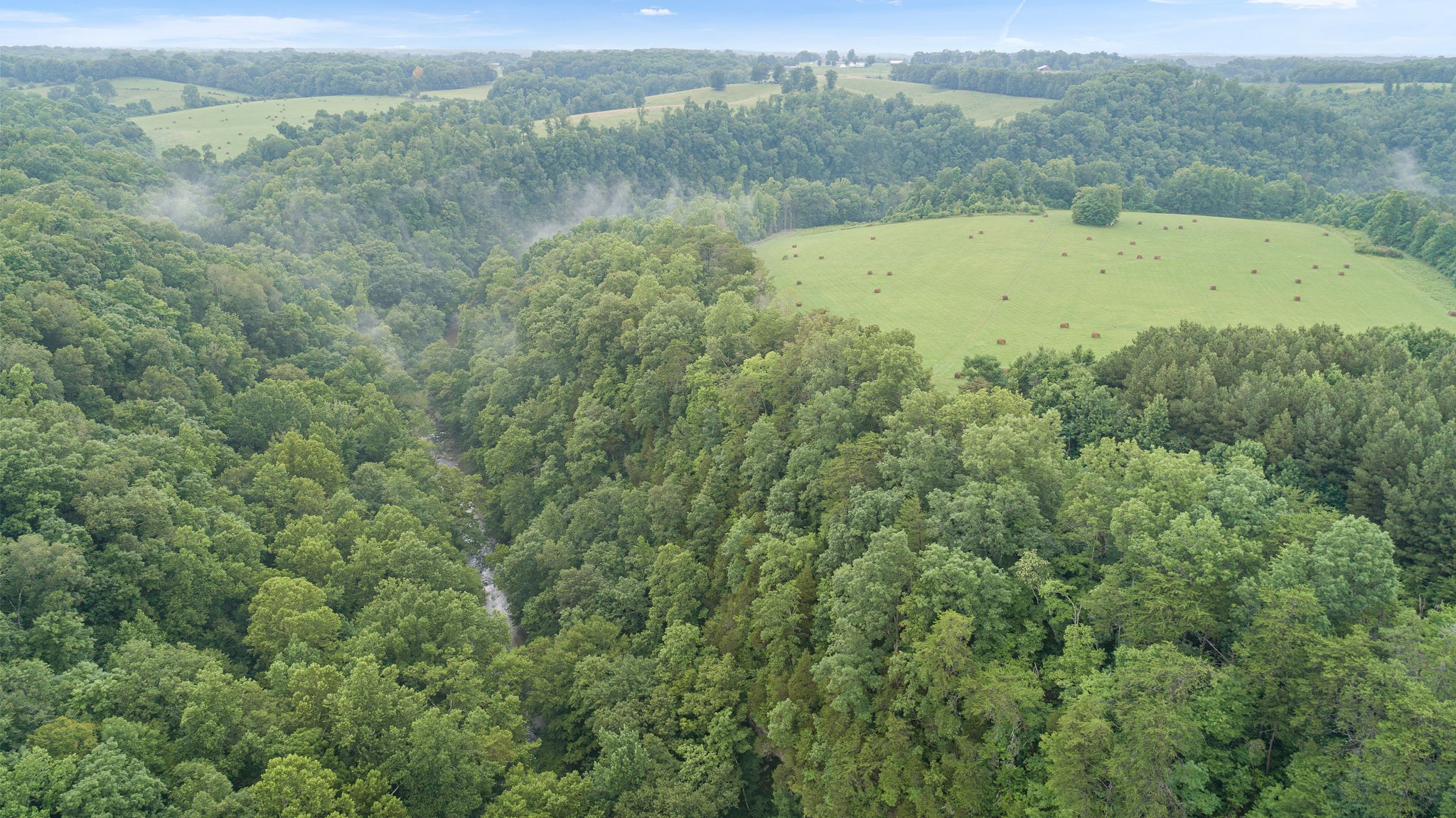 0 Jones Mill Road Smithville, TN 37166 - Photo 11 of 40 Gallery Image 11