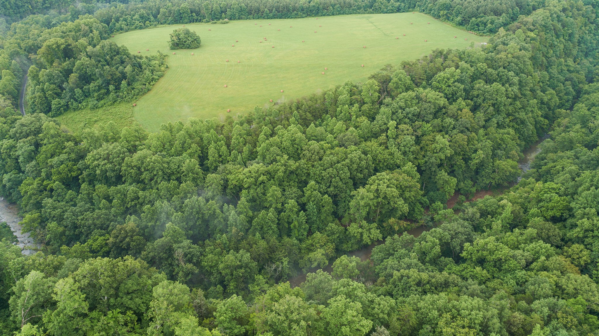 0 Jones Mill Road Smithville, TN 37166 - Photo 14 of 40 Gallery Image 14