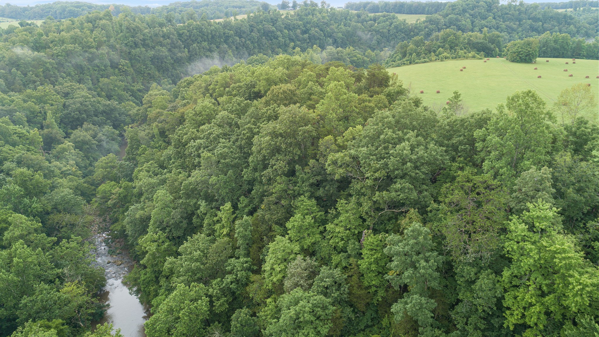 0 Jones Mill Road Smithville, TN 37166 - Photo 15 of 40 Gallery Image 15