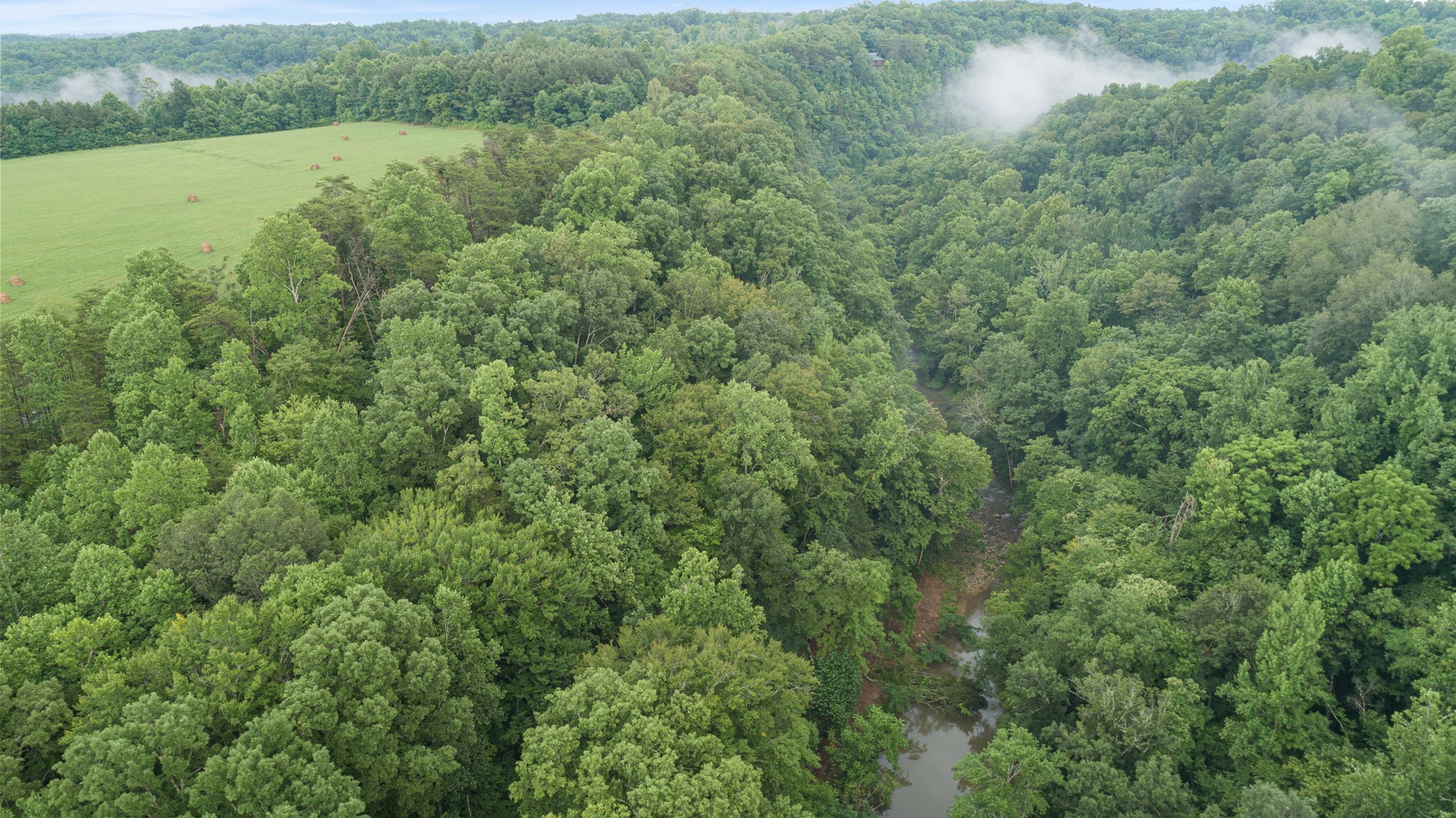 0 Jones Mill Road Smithville, TN 37166 - Photo 16 of 40 Gallery Image 16