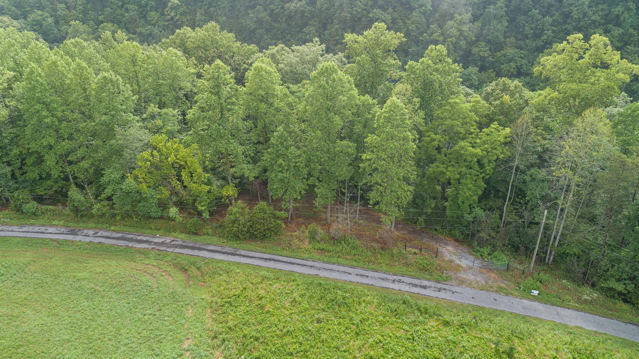 0 Jones Mill Road Smithville, TN 37166 - Photo 20 of 40 Gallery Image 20