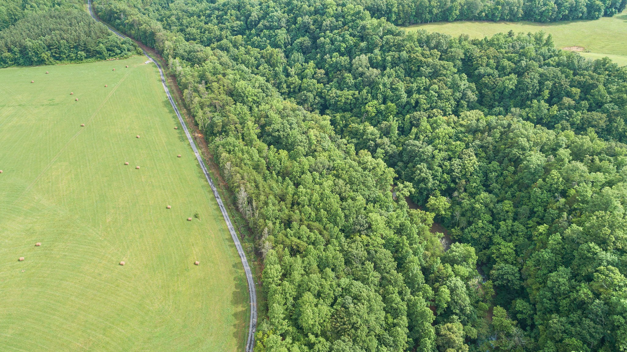 0 Jones Mill Road Smithville, TN 37166 - Photo 2 of 40 Gallery Image 2