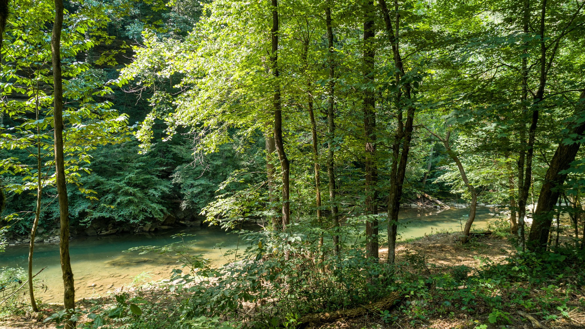 0 Jones Mill Road Smithville, TN 37166 - Photo 23 of 40 Gallery Image 23