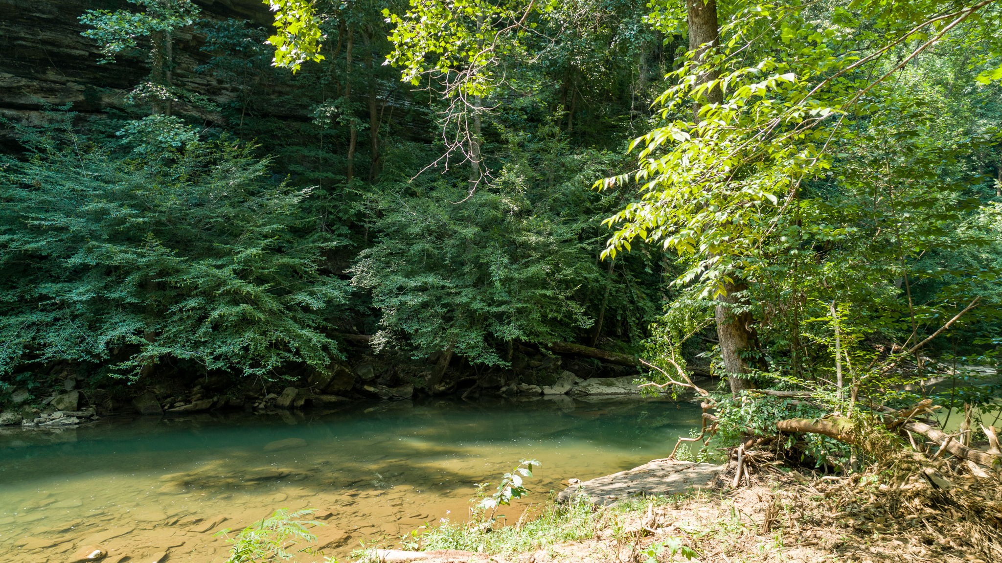 0 Jones Mill Road Smithville, TN 37166 - Photo 24 of 40 Gallery Image 24