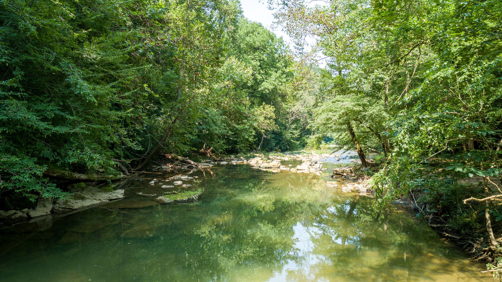 0 Jones Mill Road Smithville, TN 37166 - Photo 25 of 40 Gallery Image 25