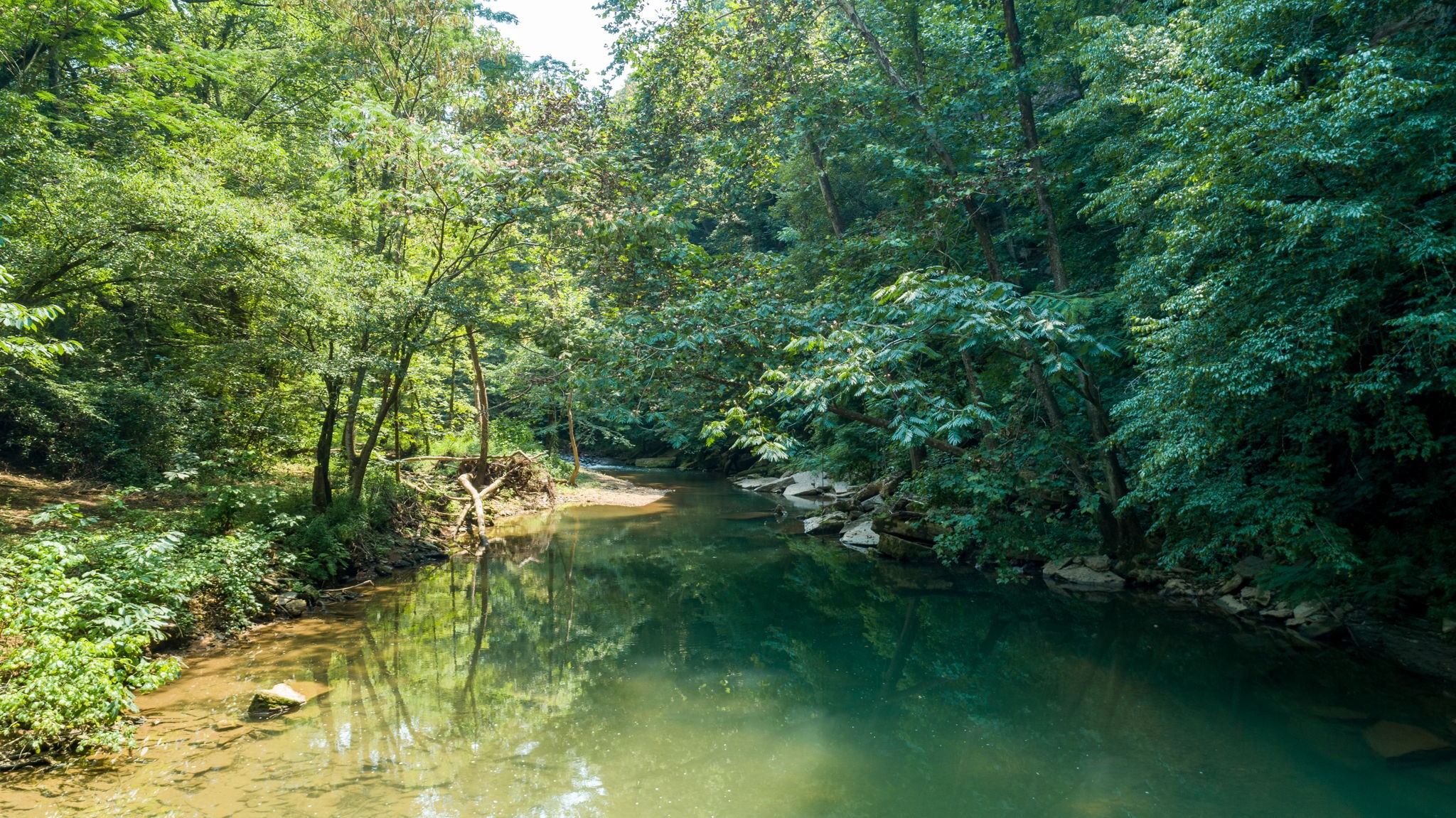 0 Jones Mill Road Smithville, TN 37166 - Photo 26 of 40 Gallery Image 26