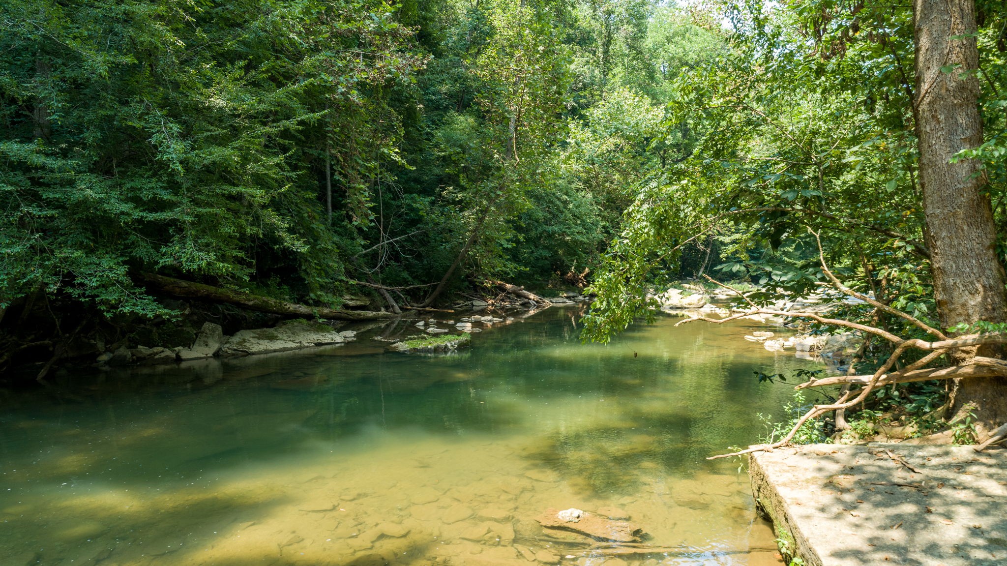 0 Jones Mill Road Smithville, TN 37166 - Photo 28 of 40 Gallery Image 28