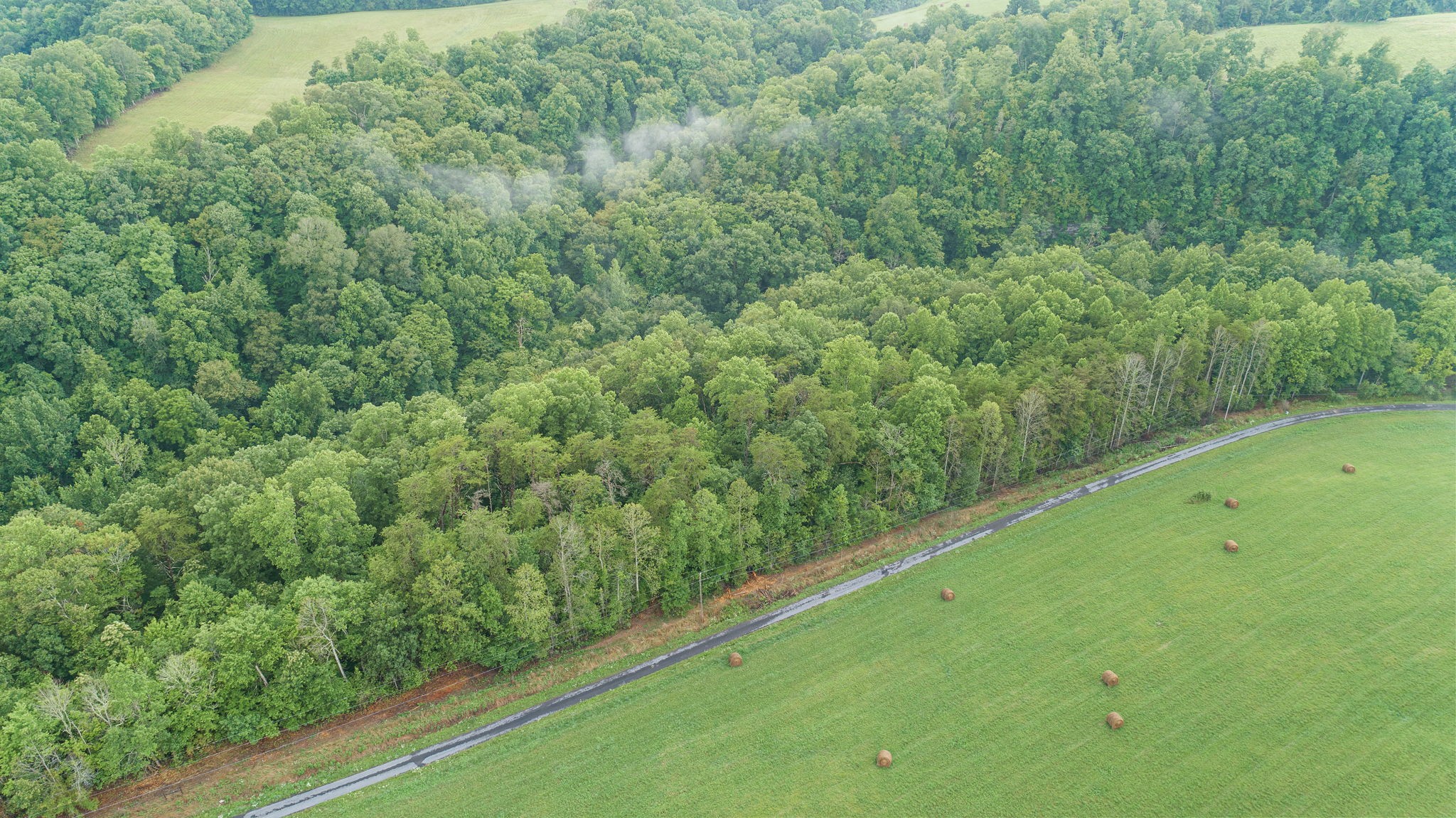 0 Jones Mill Road Smithville, TN 37166 - Photo 3 of 40 Gallery Image 3