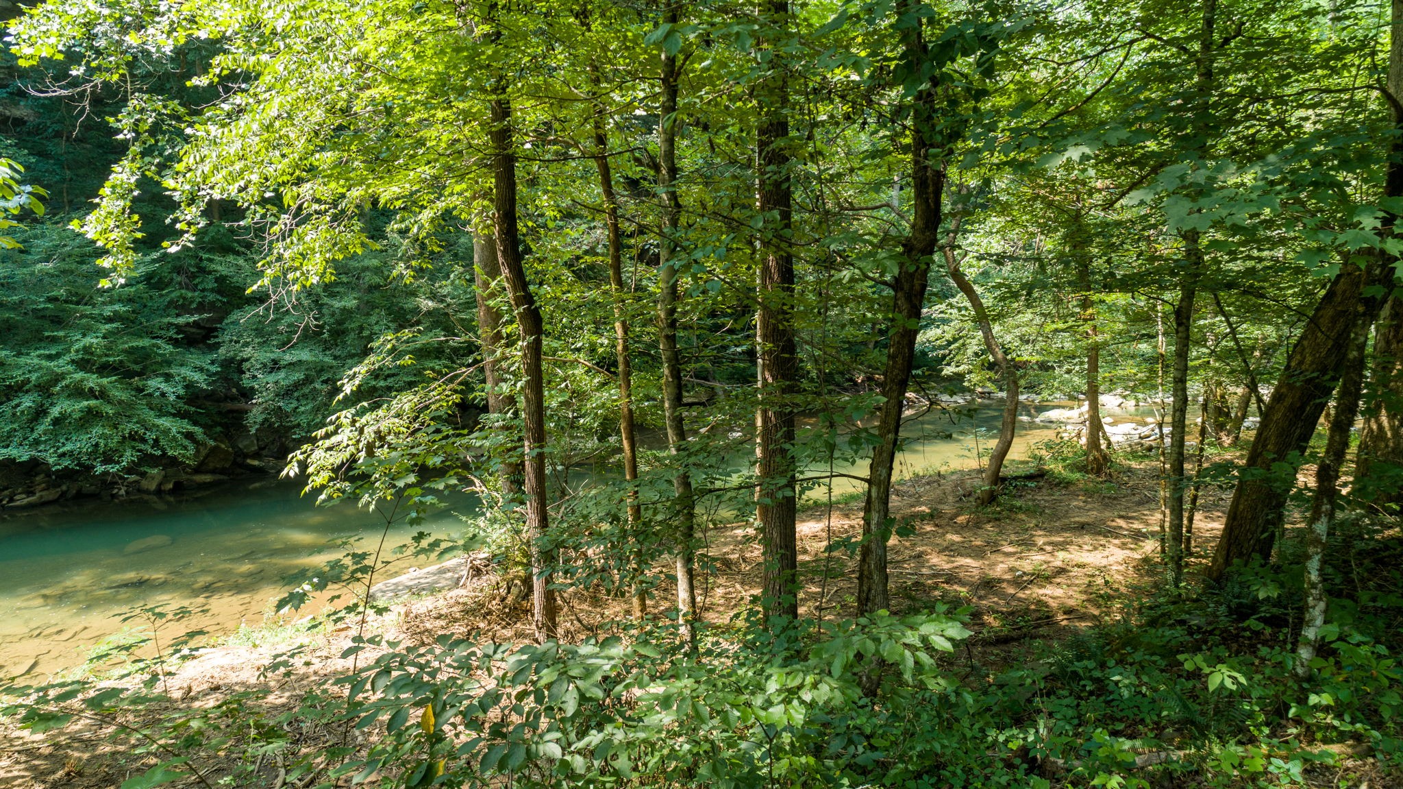 0 Jones Mill Road Smithville, TN 37166 - Photo 31 of 40 Gallery Image 31
