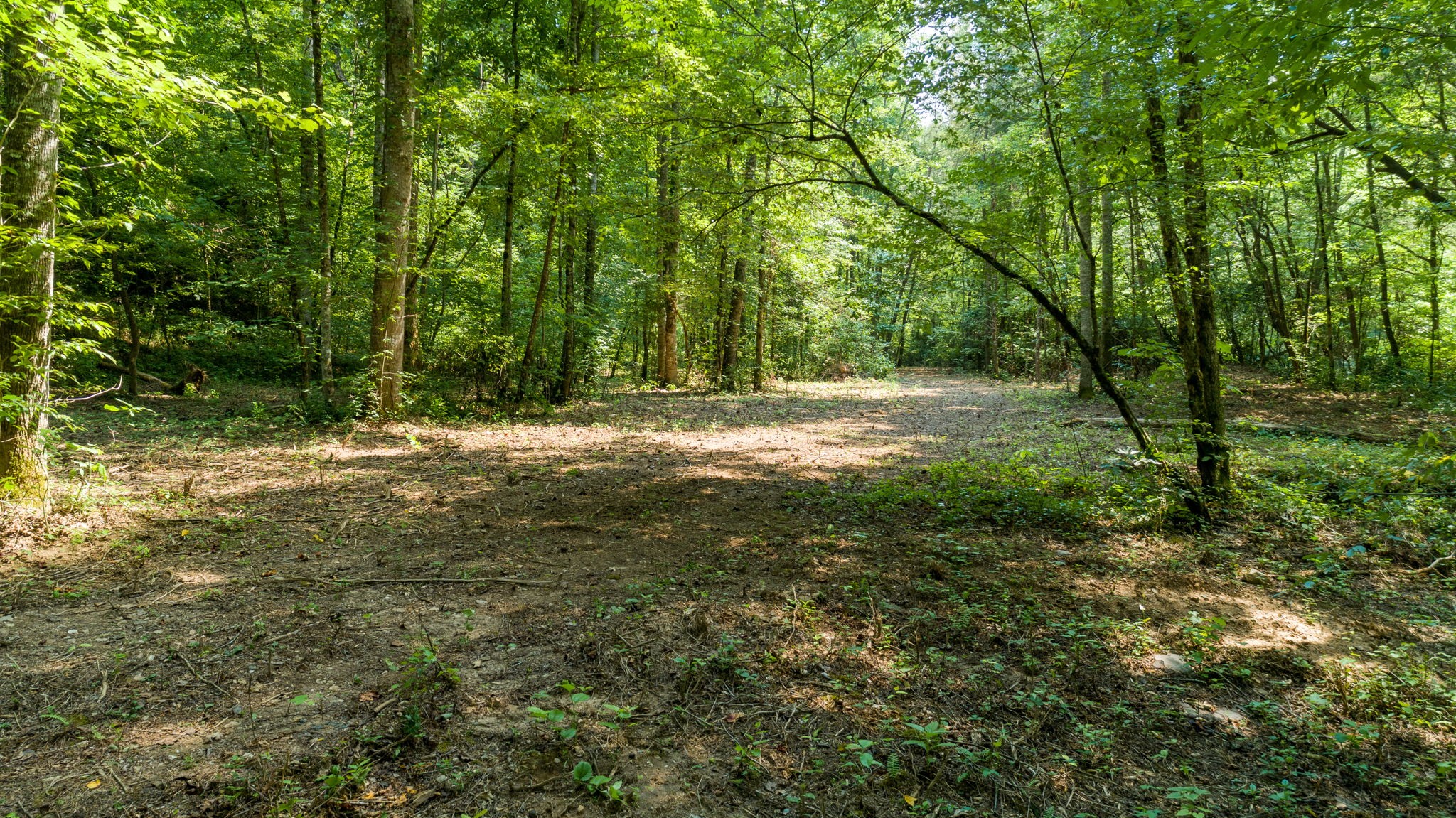 0 Jones Mill Road Smithville, TN 37166 - Photo 32 of 40 Gallery Image 32