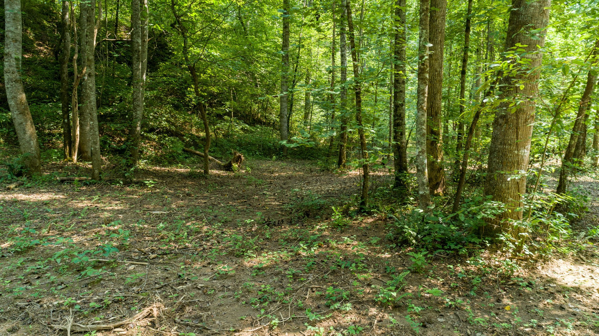0 Jones Mill Road Smithville, TN 37166 - Photo 33 of 40 Gallery Image 33