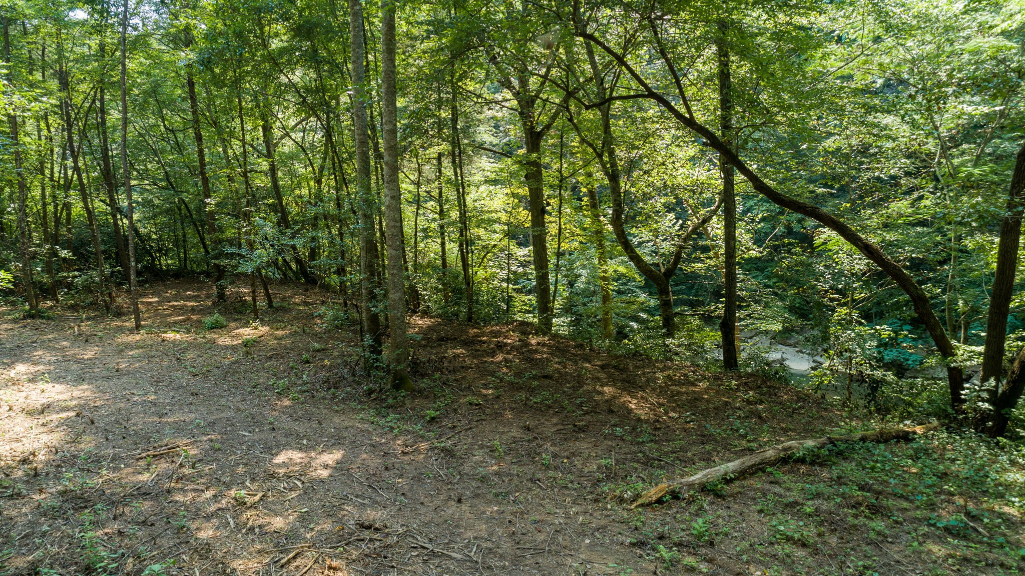 0 Jones Mill Road Smithville, TN 37166 - Photo 35 of 40 Gallery Image 35